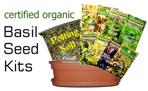 Basil Seed Kits! Includes Basil Seeds chosen from Sweet Basil, Red Rubin Basil, Lemon Basil, Thai Basil, Cinnamon Basil, Licorice Basil, Lime basil and Holy Basil, Soil and Pot.