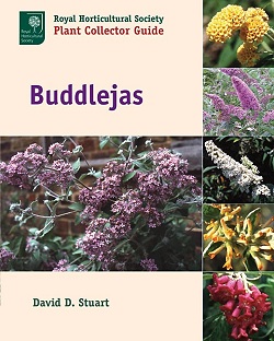Buddlejas Royal Horticultural Society