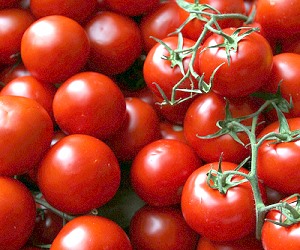 Lots of Sweet 100 Cherry Tomatoes.