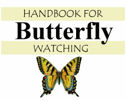 Handbook for Butterfly Watching