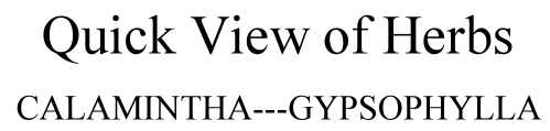 Listing of Herbs Calamintha to Gypsophylla
