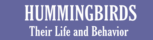 Hummingbirds: Their Life and Behavior