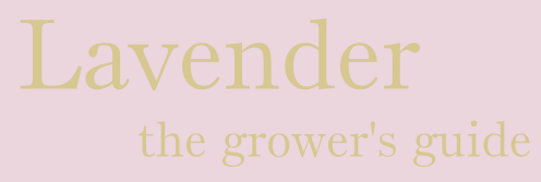 Lavender: The Grower's Guide