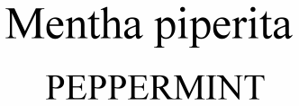 Mentha piperita Peppermint