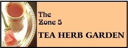 THE ZONE 5 TEA HERB GARDEN