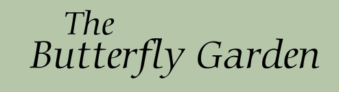 The Butterfly Garden
