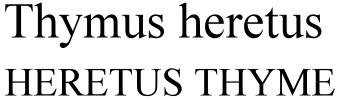 Thymus heretus Heretus Thyme