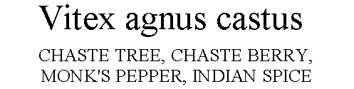 Vitex agnus castus Chaste Tree, Chaste Berry, Monk's Pepper, Indian Spice