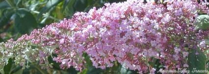 Pink Butterfly Bush Flower Wand