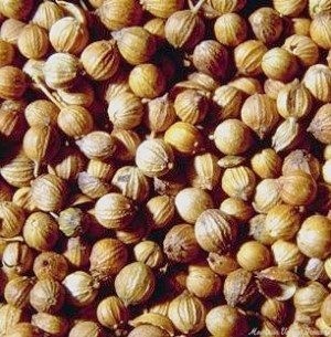 Coriander seeds