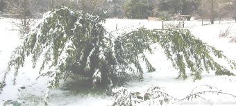 Greek Bay in Snow