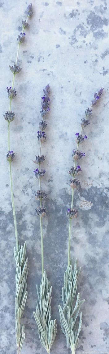 Goodwin Creek Flower Wands