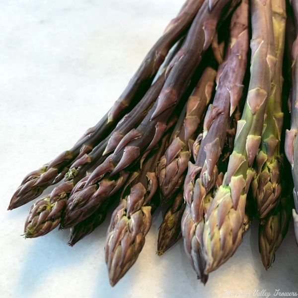 Harvested Purple Asparagus