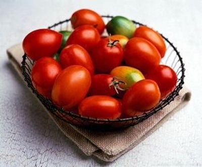 Solanum lycopersicum Roma Tomato image