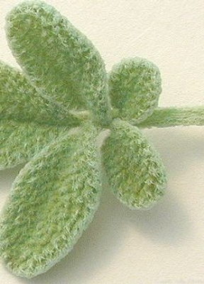 Salvia fruticosa Greek Sage image