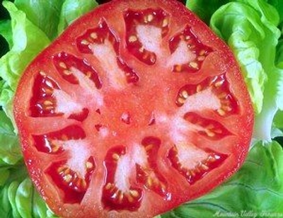 Solanum lycopersicum beefsteak Beefsteak Tomato image